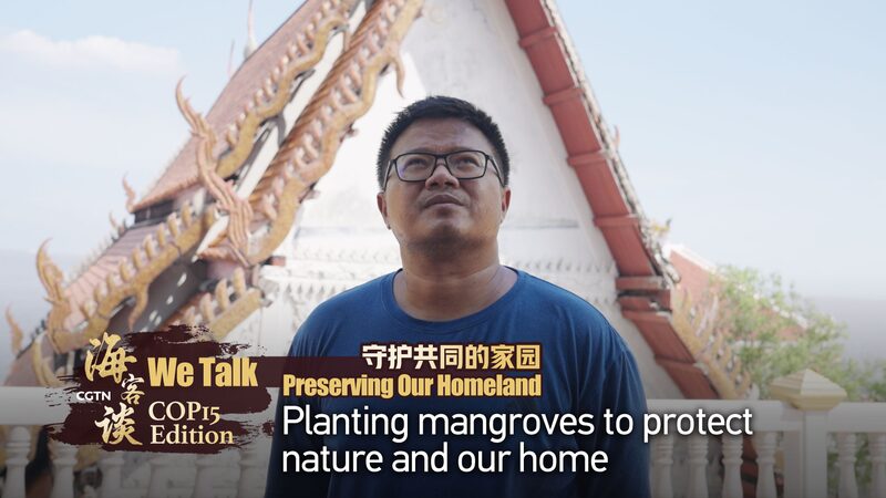 Mangroves_vs__Rising_Tides__Thai_Village_Fights_Coastal_Erosion____poster - 🌍NewspaperAmigo – Your Global News Buddy 🗞️ Mangroves_vs__Rising_Tides__Thai_Village_Fights_Coastal_Erosion___ video poster