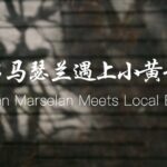 ___Marselan_Wine_Meets_Ningxia_Beef__A_Culinary_Revolution video poster
