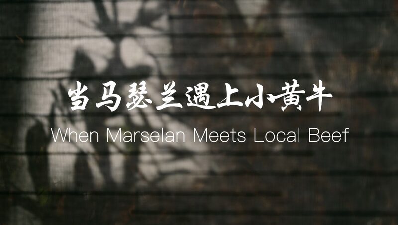Marselan_Wine_Meets_Ningxia_Beef__A_Culinary_Revolution_poster - 🌍NewspaperAmigo – Your Global News Buddy 🗞️ ___Marselan_Wine_Meets_Ningxia_Beef__A_Culinary_Revolution video poster