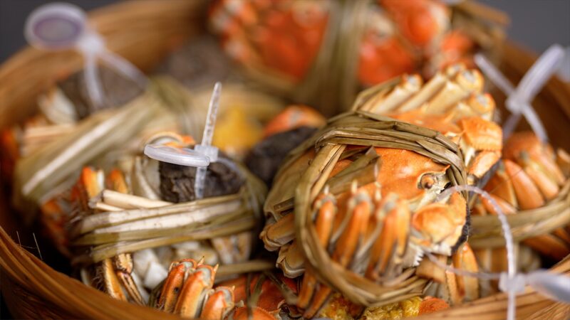 Master_the_Art_of_Hairy_Crab_Eating____poster - 🌍NewspaperAmigo – Your Global News Buddy 🗞️ Master_the_Art_of_Hairy_Crab_Eating___ video poster