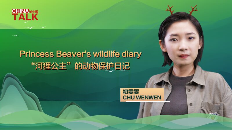 Meet_Chu_Wenwen__Young_Guardian_Protecting_Beavers_in_Xinjiang____poster - 🌍NewspaperAmigo – Your Global News Buddy 🗞️ Meet_Chu_Wenwen__Young_Guardian_Protecting_Beavers_in_Xinjiang___ video poster