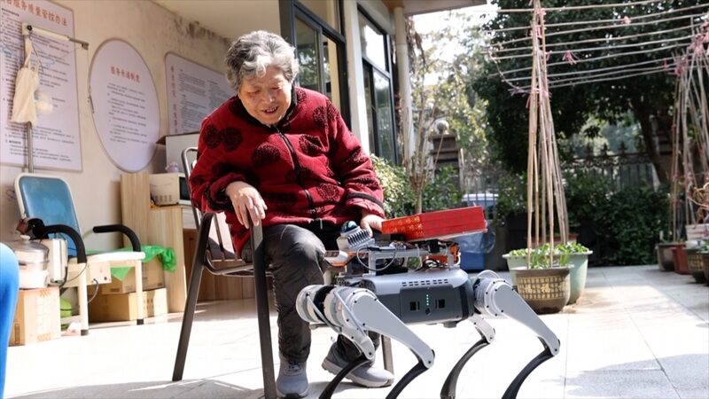 Meet_the_Robo_Dog_Revolutionizing_Elderly_Care_in_Hangzhou____poster - 🌍NewspaperAmigo – Your Global News Buddy 🗞️ Meet_the_Robo_Dog_Revolutionizing_Elderly_Care_in_Hangzhou___ video poster