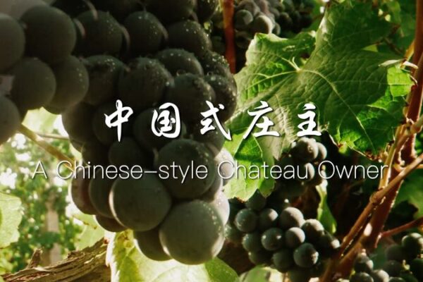 🍷 Meet the Winemaker Crafting China’s First-Ever ‘Chateau’ in the Helan Mountains! __Meet_the_Winemaker_Crafting_China_s_First_Ever__Chateau__in_the_Helan_Mountains_ video poster