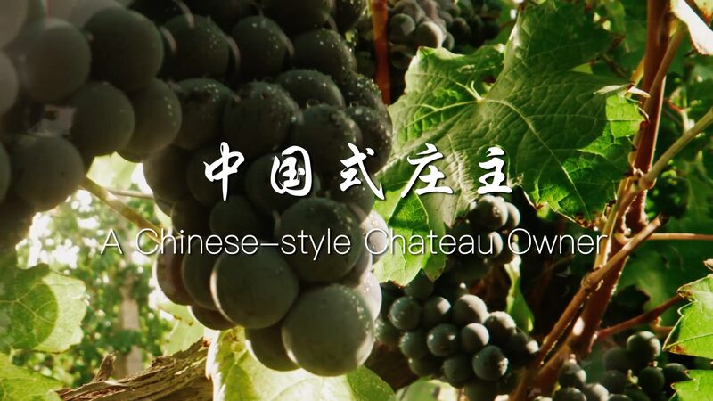 __Meet_the_Winemaker_Crafting_China_s_First_Ever__Chateau__in_the_Helan_Mountains_ video poster