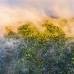 Mingxi_County__A_Birdwatcher_s_Paradise_in_Fujian___ video poster