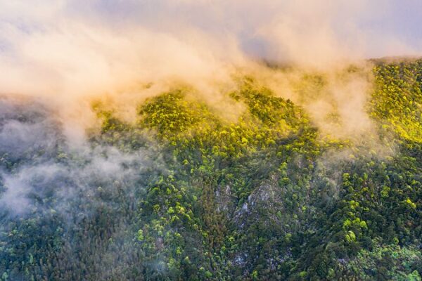 Mingxi County: A Birdwatcher’s Paradise in Fujian 🦅🌿 Mingxi_County__A_Birdwatcher_s_Paradise_in_Fujian___ video poster