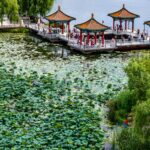 __Nanhu_Lake_Park__Changchun_s_Urban_Oasis_You_Can_t_Miss_ video poster