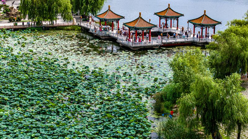 Nanhu_Lake_Park__Changchun_s_Urban_Oasis_You_Can_t_Miss__poster - 🌍NewspaperAmigo – Your Global News Buddy 🗞️ __Nanhu_Lake_Park__Changchun_s_Urban_Oasis_You_Can_t_Miss_ video poster