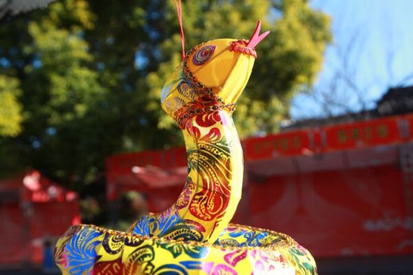 🐍 Nanjing Lights Up with Snake Lanterns for Spring Festival! 🏮✨ __Nanjing_Lights_Up_with_Snake_Lanterns_for_Spring_Festival____
