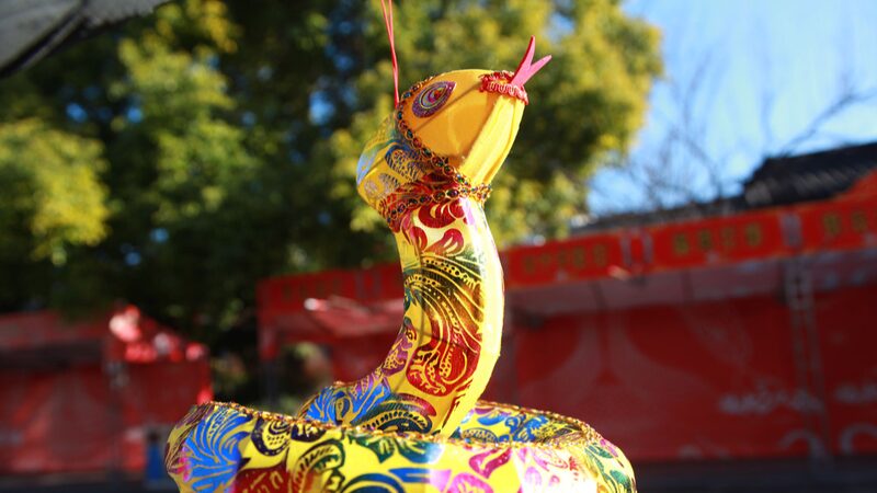 __Nanjing_Lights_Up_with_Snake_Lanterns_for_Spring_Festival____