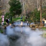 Nanjing_s_Botanical_Garden_Blooms_into_a_Spring_Fairy_Tale___