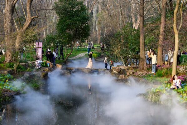 Nanjing’s Botanical Garden Blooms into a Spring Fairy Tale 🌸✨ Nanjing_s_Botanical_Garden_Blooms_into_a_Spring_Fairy_Tale___
