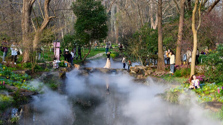 Nanjing_s_Botanical_Garden_Blooms_into_a_Spring_Fairy_Tale___