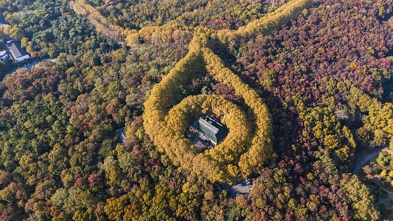 Nanjing’s Meiling Palace Unveils Nature’s Necklace 🌿💎 Nanjing_s_Meiling_Palace_Unveils_Nature_s_Necklace___