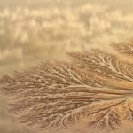 __Nature_s_Art__Qiantang_River_s__Tidal_Trees__Shine_in_March_ video poster