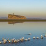 Nature_s_Ballet__Migratory_Birds_Stun_at_China_s_Poyang_Lake___ video poster