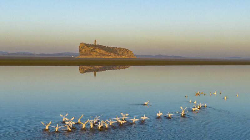 Nature_s_Ballet__Migratory_Birds_Stun_at_China_s_Poyang_Lake____poster - 🌍NewspaperAmigo – Your Global News Buddy 🗞️ Nature_s_Ballet__Migratory_Birds_Stun_at_China_s_Poyang_Lake___ video poster