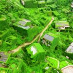 Nature_s_Comeback__Abandoned_Chinese_Village_Transforms_into_Green_Paradise___