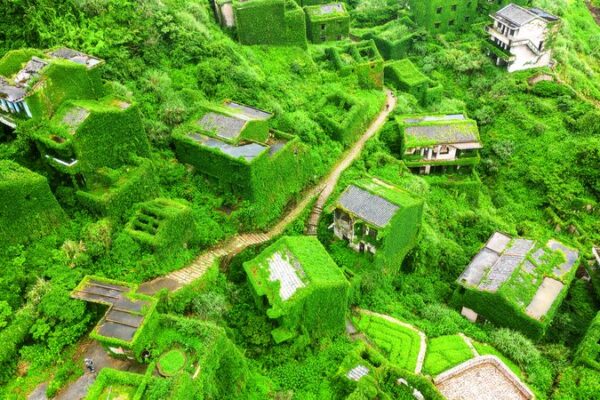 Nature’s Comeback: Abandoned Chinese Village Transforms into Green Paradise 🌿🏡 Nature_s_Comeback__Abandoned_Chinese_Village_Transforms_into_Green_Paradise___