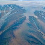 Nature_s_Living_Canvas__Qiantang_River_s__Tidal_Trees__Amaze___