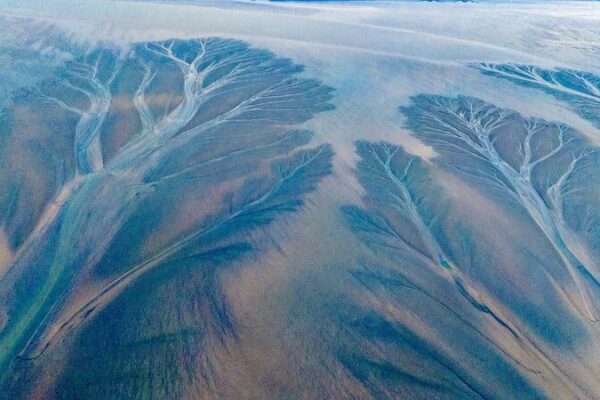 Nature’s Living Canvas: Qiantang River’s ‘Tidal Trees’ Amaze 🌊✨ Nature_s_Living_Canvas__Qiantang_River_s__Tidal_Trees__Amaze___