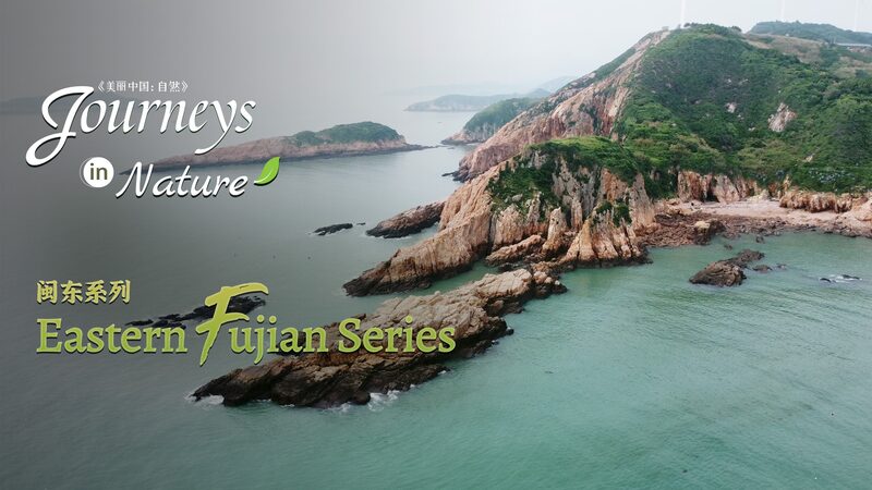 Nature_s_Masterpiece__How_Ocean_Erosion_Shaped_Fujian_s_Stunning_Coastline_____poster - 🌍NewspaperAmigo – Your Global News Buddy 🗞️ Nature_s_Masterpiece__How_Ocean_Erosion_Shaped_Fujian_s_Stunning_Coastline____ video poster