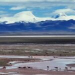 New_Tibetan_Antelope_Haven_Found_in_China_s_Wild_West___