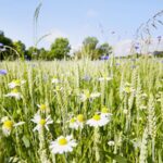 New_UN_Biodiversity_Chief_Takes_Charge_to_Protect_Our_Planet___