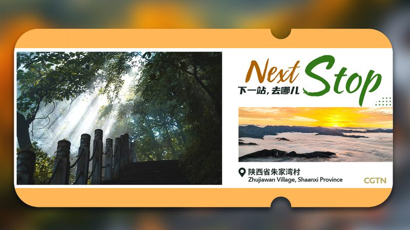 Next_Stop__Forest_Oxygen_Bar_in_Qinling_Mountains___ - 🌍NewspaperAmigo – Your Global News Buddy 🗞️ Next_Stop__Forest_Oxygen_Bar_in_Qinling_Mountains___