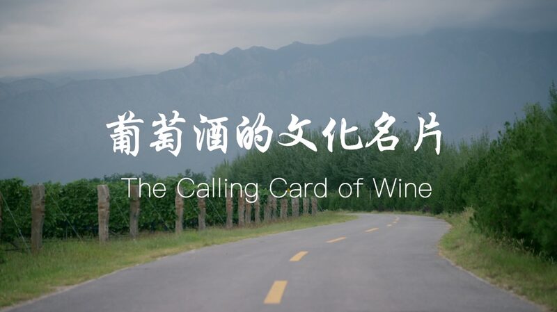Ningxia_Grad_Uncorks_China_s_Wine_Culture_Globally____poster - 🌍NewspaperAmigo – Your Global News Buddy 🗞️ Ningxia_Grad_Uncorks_China_s_Wine_Culture_Globally___ video poster