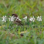 Ningxia_University__Cultivating_China_s_Wine_Industry_Leaders___ video poster