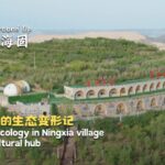 Ningxia_Village_Blossoms_into_Eco_Cultural_Oasis___ video poster