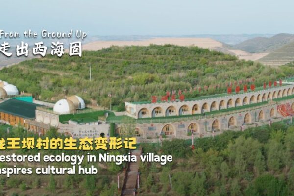 Ningxia_Village_Blossoms_into_Eco_Cultural_Oasis___ video poster