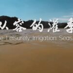 Ningxia_s_Digital_Irrigation_Revolution__Saving_Water__Empowering_Farmers___ video poster