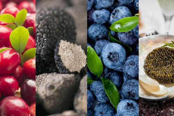 Northeast China’s Food Secrets Stun the Nation 🍊❄️ Northeast_China_s_Food_Secrets_Stun_the_Nation____