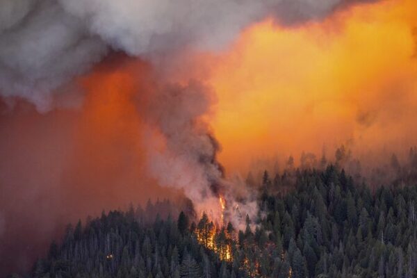 🔥 Northern California Wildfire Forces Thousands to Evacuate __Northern_California_Wildfire_Forces_Thousands_to_Evacuate