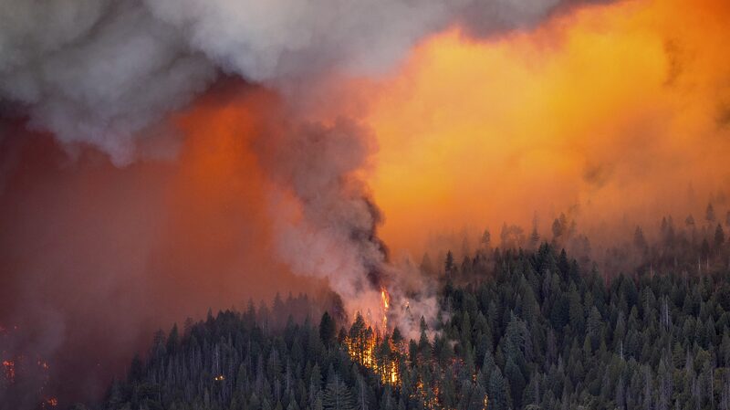 Northern_California_Wildfire_Forces_Thousands_to_Evacuate - 🌍NewspaperAmigo – Your Global News Buddy 🗞️ __Northern_California_Wildfire_Forces_Thousands_to_Evacuate