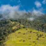 Norway_Pledges__20M_to_Combat_Deforestation_in_Colombia___