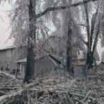 ___Oregon_Power_Crisis__100k__in_Dark_Amid_Polar_Vortex_Chill