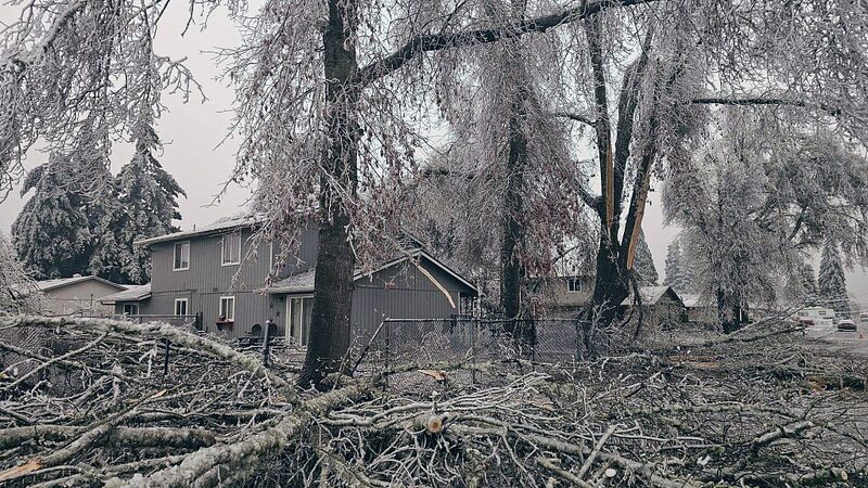 ___Oregon_Power_Crisis__100k__in_Dark_Amid_Polar_Vortex_Chill