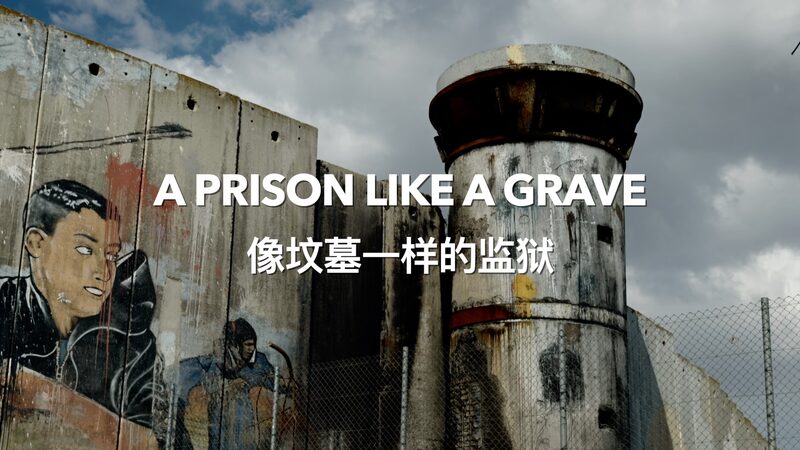 Palestinian_Activist_Shares_Harrowing_Prison_Tale______poster - 🌍NewspaperAmigo – Your Global News Buddy 🗞️ Palestinian_Activist_Shares_Harrowing_Prison_Tale_____ video poster