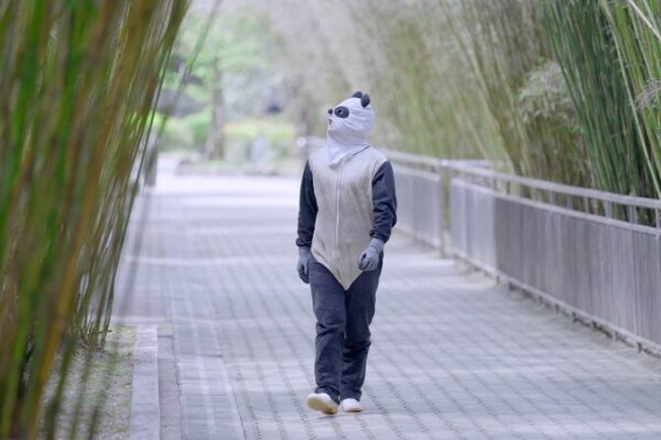 Pandas Go Wild! 🐼 Wolong’s Mission to Rewild Captive-Born Giants Pandas_Go_Wild____Wolong_s_Mission_to_Rewild_Captive_Born_Giants video poster