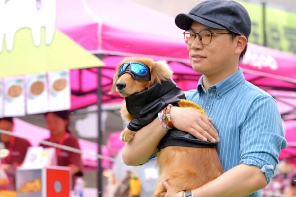 Paws_and_Fashion__Beijing_s_Pet_Duos_Steal_the_Runway___ video poster