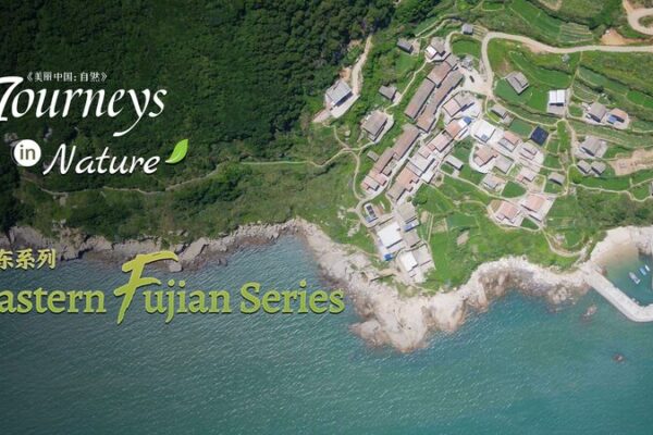 Pingtan’s ‘Sea Erosion Museum’: Nature’s Artistry on Display 🌊🏝️ Pingtan_s__Sea_Erosion_Museum___Nature_s_Artistry_on_Display____ video poster