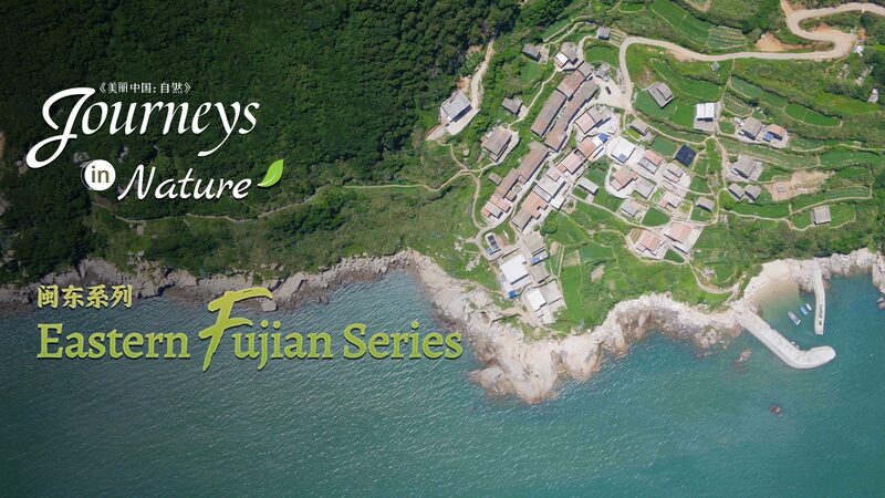 Pingtan_s__Sea_Erosion_Museum___Nature_s_Artistry_on_Display_____poster - 🌍NewspaperAmigo – Your Global News Buddy 🗞️ Pingtan_s__Sea_Erosion_Museum___Nature_s_Artistry_on_Display____ video poster
