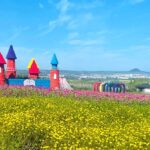 Piyanshan_Floral_Sea_Blooms_into_a_Vibrant_Paradise___