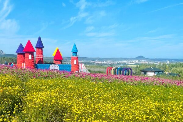 Piyanshan Floral Sea Blooms into a Vibrant Paradise 🌸📸 Piyanshan_Floral_Sea_Blooms_into_a_Vibrant_Paradise___