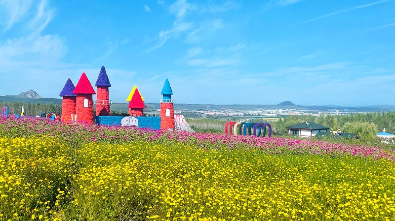 Piyanshan_Floral_Sea_Blooms_into_a_Vibrant_Paradise___
