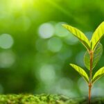 __Plants__Secret__Cry_for_Help__Uncovered_by_Chinese_Scientists_