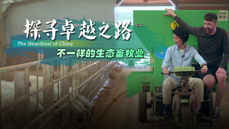 Powering the Future: Qinghai’s Hydro-Solar Farms and Sustainable Herding 🌱⚡️🐑 Powering_the_Future__Qinghai_s_Hydro_Solar_Farms_and_Sustainable_Herding_____ video poster